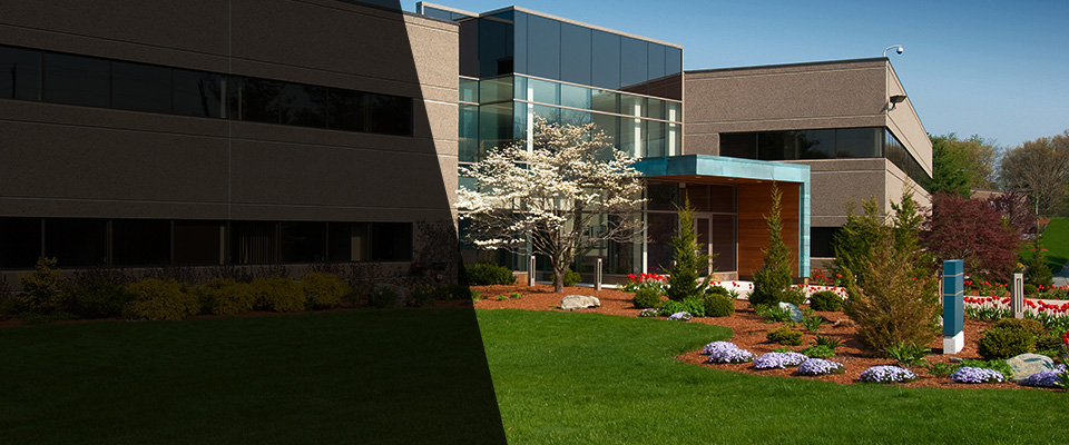 Queensbury Landscapers